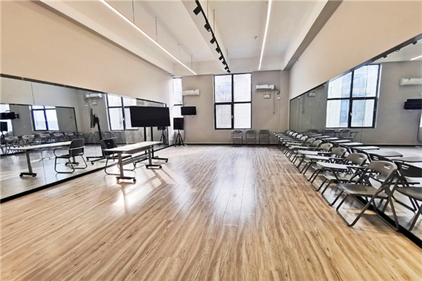 大笙文化艺术发展